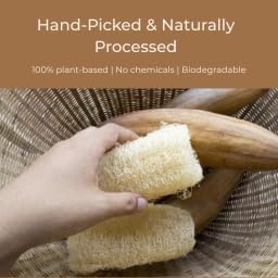 All Natural Loofah, Exfoliating Body Scrubbers (2 Pack), Biodegradable Bath Loofahs Sponge, Gentle, Chemical-Free Bath & Body Loofah for Women, Men and Kids
