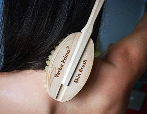 Yerba Prima Tampico Dry Skin Brush for Exfoliating and Blood Stimulation (Pack of 3)