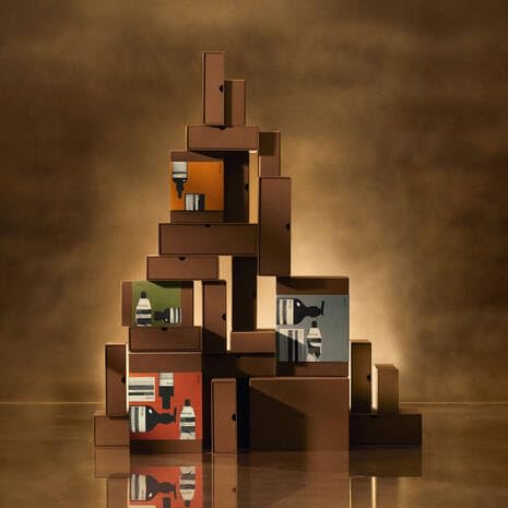 Aesop Hand & Home Bathroom Abundance Gift Set | Limited Edition Holiday Kit