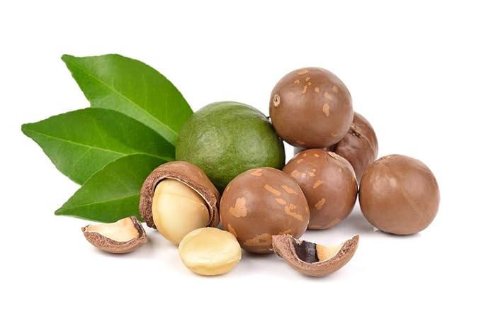 US Organic Macadamia Nut Oil Unrefined Virgin, Certified Organic, Pure & Natural, Cold Pressed, Size for DIY and small manufacturers (128 oz (1 Gallon))