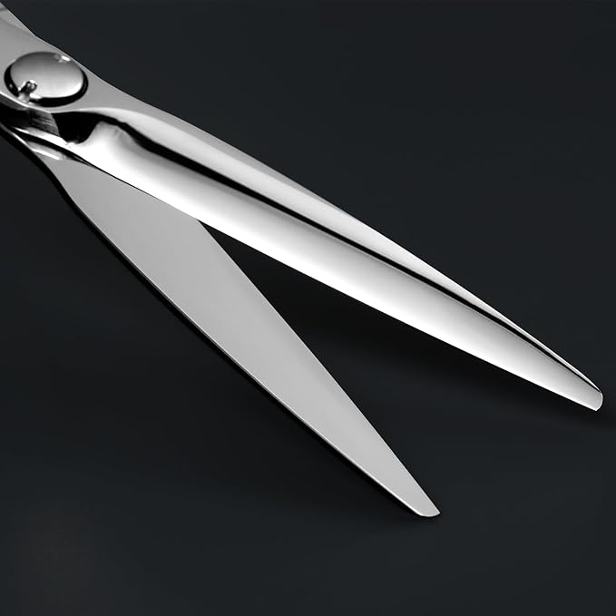 AOLANDUO Master Series VG10 Steel Professional Hair Cutting Scissors, Ultra-Sharp Barber & Stylist Shears, Best Hair Cutting Scissors Professional, 1 Count, 6.0 Inch, Silver White