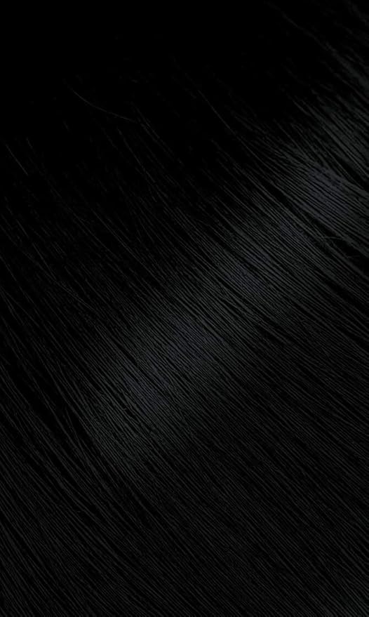 #88 Blue Black Bigen Permanent Powder (3 Pack)
