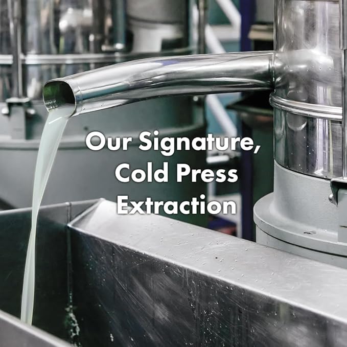 RATED GREEN Real Argan Repairing Shampoo | Organic Cold Pressed Ingredient & 13 Peptide Complex | For Brittle and Damaged hair | Silicone-Free, Korean Hair Care | 13.52 fl oz