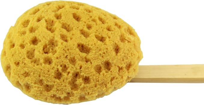 18" 2pcs Extra Long Handle Beechwood Bath Brush with Sponge - Exfoliating & Massaging Back Scrubber for Shower