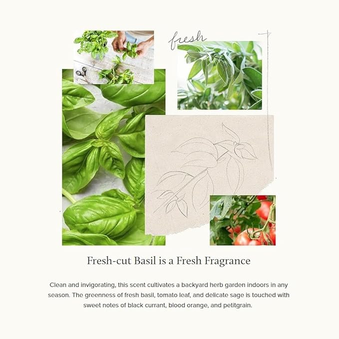 Thymes Hand Wash - Moisturizing Hand Soap Dispenser with Pump - Skin Care - Hydrating Liquid Soap Scented with Notes of Fresh Basil, Tomato Leaf, & Delicate Sage (Fresh-Cut Basil, 9 fl oz)
