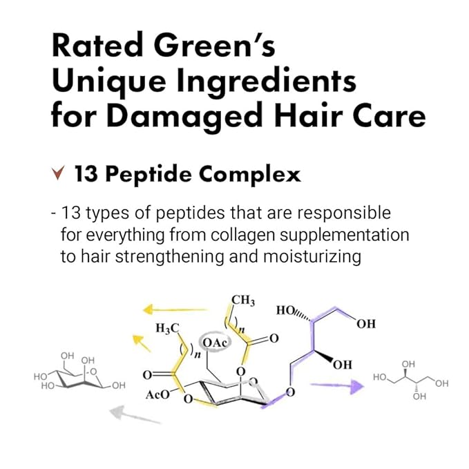 RATED GREEN Real Argan Repairing Shampoo | Organic Cold Pressed Ingredient & 13 Peptide Complex | For Brittle and Damaged hair | Silicone-Free, Korean Hair Care | 13.52 fl oz