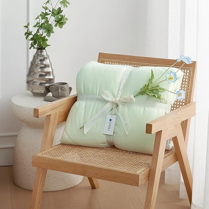 Cozy Bliss Cooling Comforter Queen Size, Cooling Blankets for Hot Sleepers and Night Sweats, Light Mint Green Cream Summer Comforter for Queen Size Bed, Breathable Soft Lightweight Silk Smooth