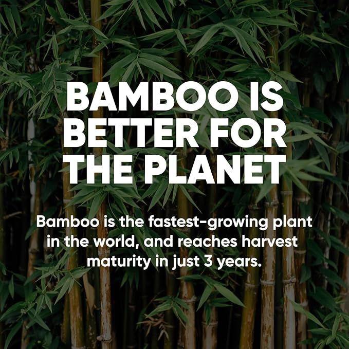 Save Trees Bamboo Toilet Paper - 12 Rolls Of Organic Toilet Paper, 3-ply, 300 Sheets Per Roll - PFAS Free, FSC Certified, Plastic Free, Vegan & Chemical Free Bamboo TP