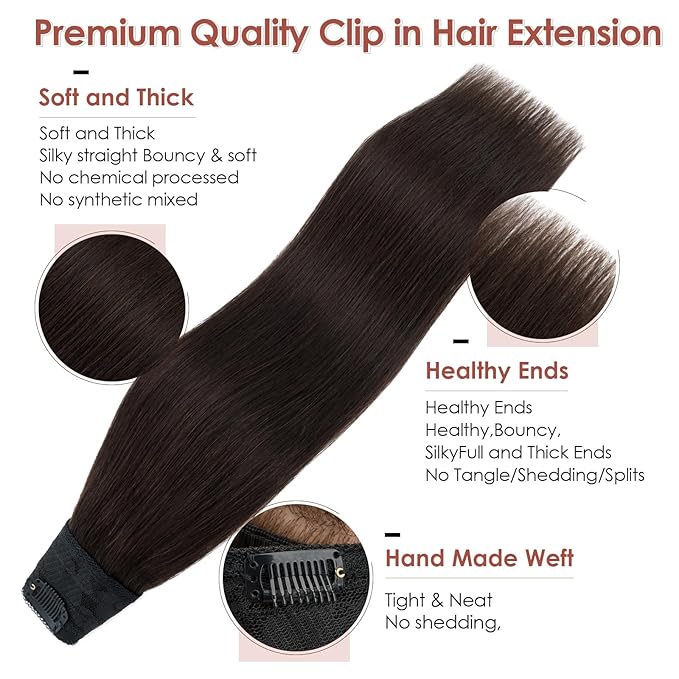 Benehair One Piece 5 Clips in Hair Extensions Human Hair 3/4 Full Head V Shaped Weft Thick Lace Net For Women (16"-65g #2 Dark Brown)