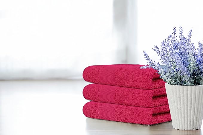 Premium Wash Cloths Pack of 12 (13" x 13") 100% Ring Spun Cotton | Luxury Washcloths | Ultra Soft Face Towels | Highly Absorbent Wash Cloths for face (Raspberry)