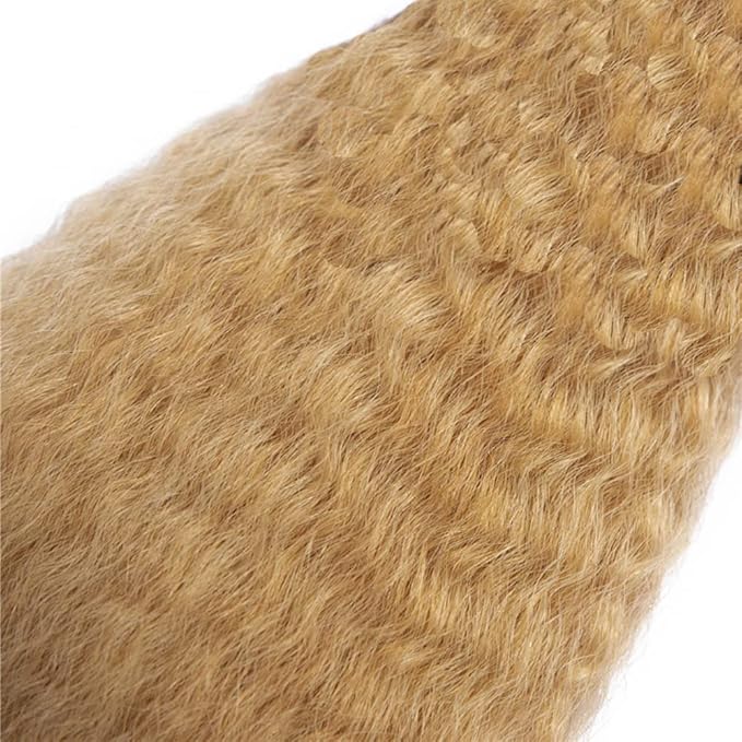 28 30 32 Inch 27 Human Hair Bundles Honey Blonde Kinky Straight Bundles Human Hair Peruvian Remy Hair 3 Bundles 27 Blonde Bundles 27 Kinky Straight Bundles Hair Extensions