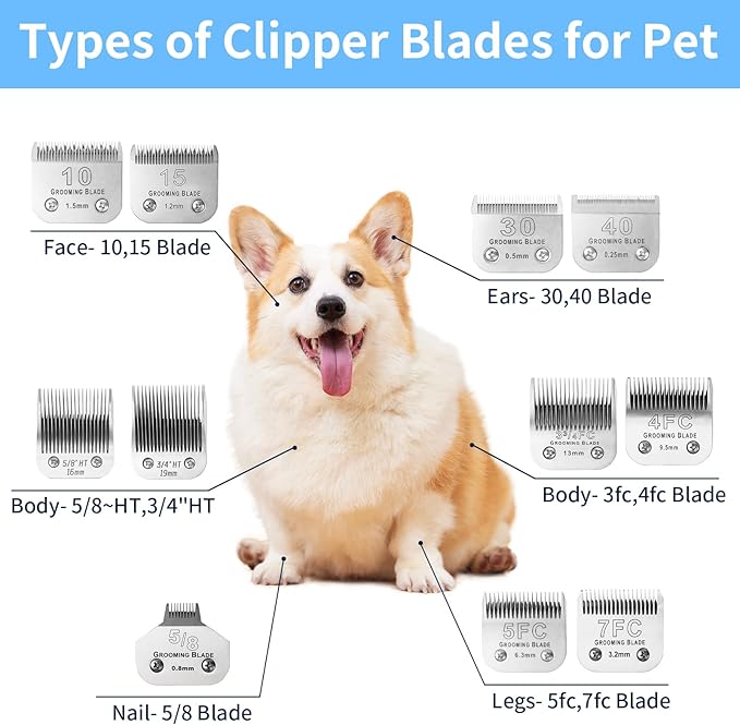 Size 10 Detachable Dog Grooming Blades, Compatible with Andis, Oster A5, Wahl KM10 Series Clippers, Cut Length 1.5mm, Silver (10#1.5mm, 1 Packs)