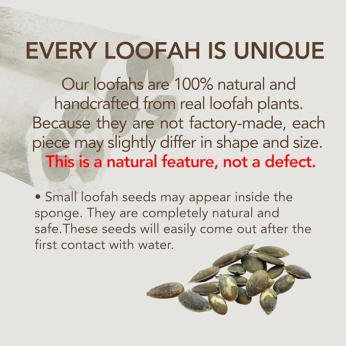 Loofah Sponge for Body Scrub, Exfoliating Body Scrubber & Shower Sponge Shower Scrubber, Loofah for Women and Men, Exfoliating Washcloth Alternative (2 Count, 1 Pack, Natural Cut)