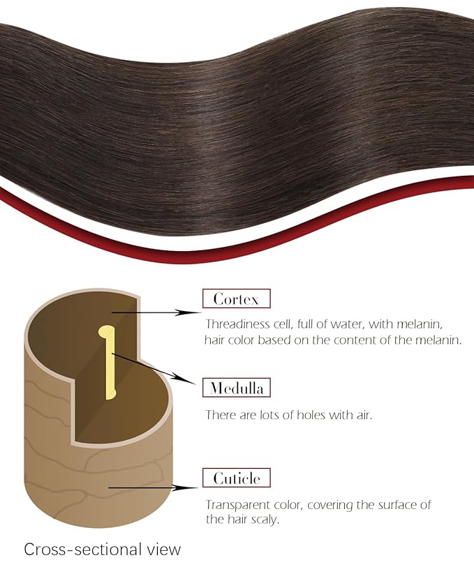 Hair Clip in Hair Extensions Real Human Hair, Straight Human Hair Extensions Clip ins Dark Brown Extensions for Women 20inch 160g 7pcs (#2-20inch)