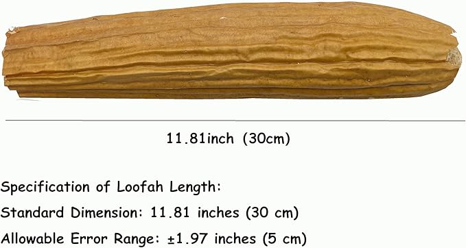 Loofah is Naturally degradable, has a Unique mesh Fiber Structure, Light and Breathable, Suitable for Adults, can be Used for Shower, Kitchen CleaningFour Packs.