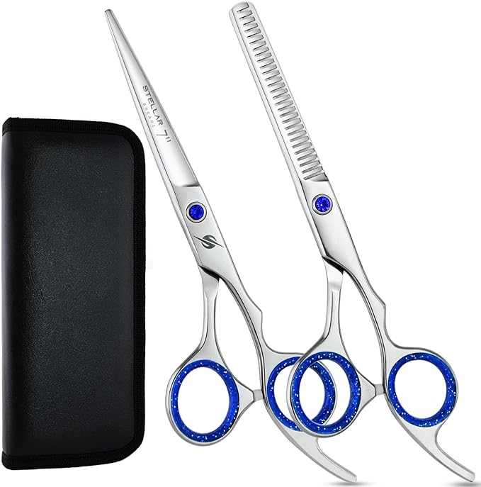 Pro Hair Cutting Scissors Set 6.5 Inch – Japanese Stainless Steel Barber Shears & Thinning Scissors Blue Gem Tension Screw – Salon Hairdressing Kit for Barbers & Stylists (Silver)