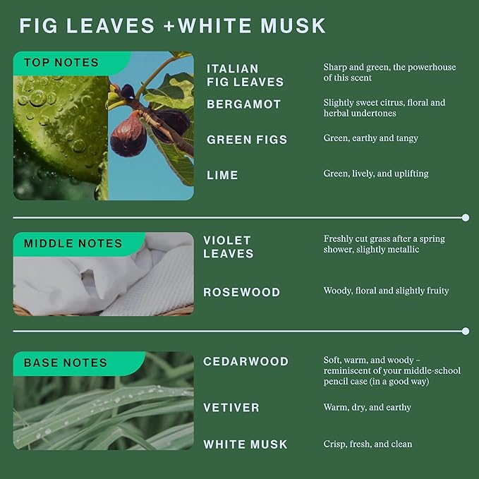 OffCourt Unisex Fragrance – Fig Leaves & White Musk Scent - Cologne for Men & Perfume for Women, Clean Ingredients, Vegan, Cruelty-Free, Made in USA, 1.7 Oz (50ml) TSA-Friendly