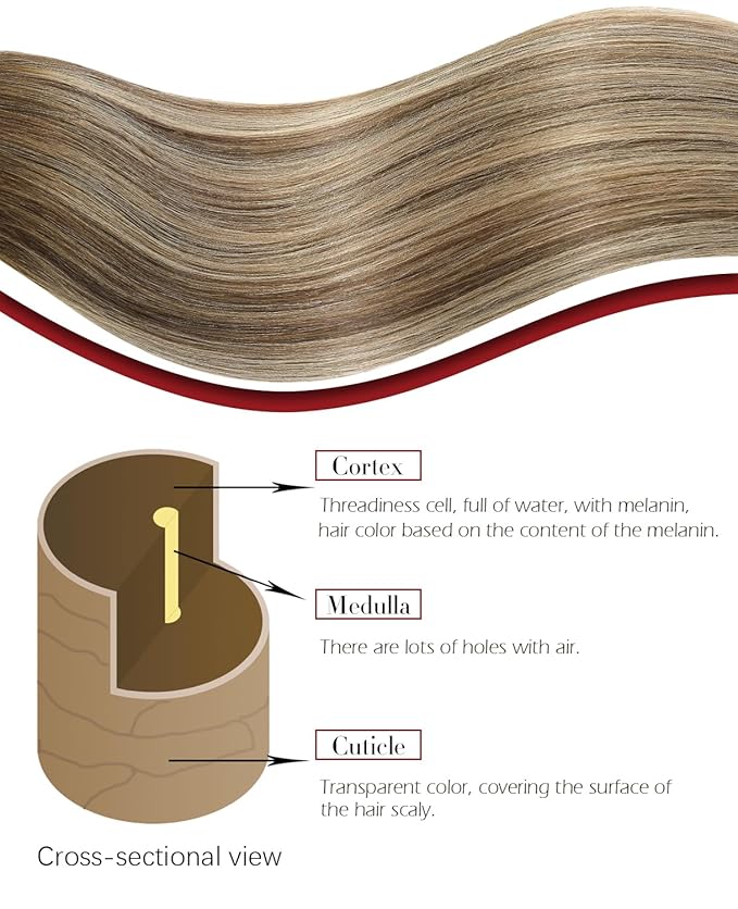 Clip in Hair Extensions Real Human Hair,Balayage Chocolate Brown To Caramel Blonde, 16 Inch 140g Natural Straight Clip On Hair extensions 7pcs Per Set with 19 Clips (H#4/27/4,16")