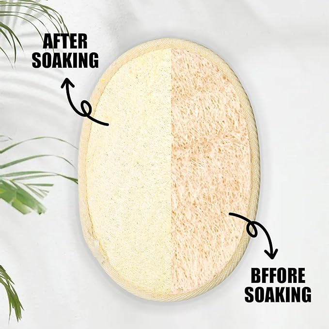 Natural Loofah Body Loofahs for Exfoliation (Pack of 2)- Eco-Friendly Material, Suitable for Shower and Bathtub Use, Exfoliating Loofah for Men and Women