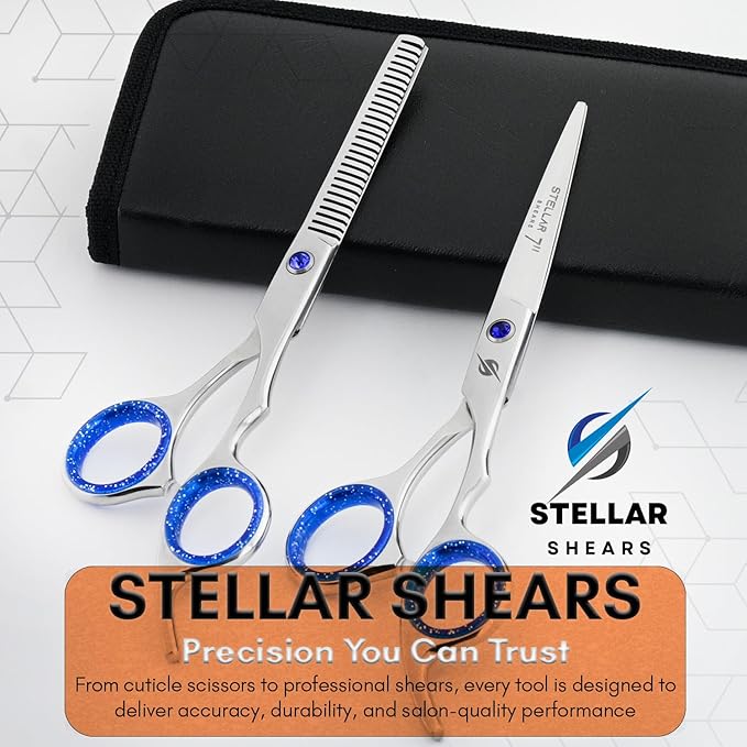 Pro Hair Cutting Scissors Set 6.5 Inch – Japanese Stainless Steel Barber Shears & Thinning Scissors Blue Gem Tension Screw – Salon Hairdressing Kit for Barbers & Stylists (Silver)
