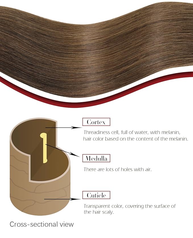 Clip in Hair Extensions Real Human Hair Chocolate Brown 22inch 7Pcs 160g for Women(#4-22inch)