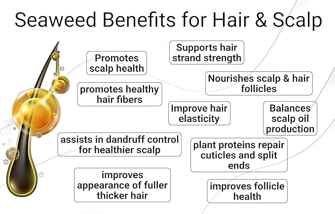 Saltie Hydrating Shampoo - Deep Moisture - Repairs and Bonds Dry Damage - Adds Shine - Reduces Frizz -No Sulfates, Parabens, Gluten, and Phthalates - No Artificial Color - Peppermint Leaf Oil