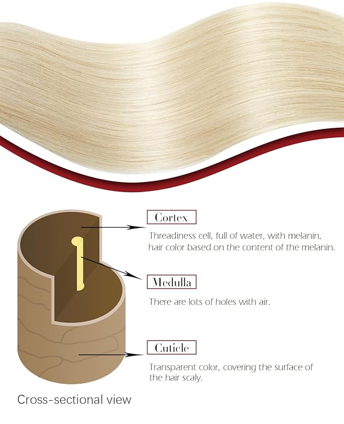 Clip In Hair Extensions Real Human Hair, Hair Extensions Clip ins for Women, 22inch 160g 7Pcs Platinum Blonde Real Human Hair(#60-22inch)