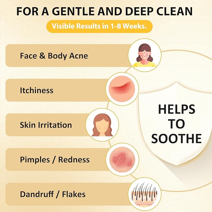 Bee & Flower Sulfur Soap Liquid Shampoo & Body Wash - Daily Head to Toe Skin Care Product for Men and Women - 16.8 Fl Oz - Pack of 1