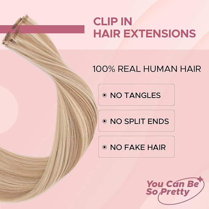 Clip in Hair Extensions Real Human Hair for Women, 10 Inch 31g 6pcs, Golden Brown Mix Bleach Blonde, Straight - Highlight, Add Volume and Length for Daily Wear, Parties, Weddings