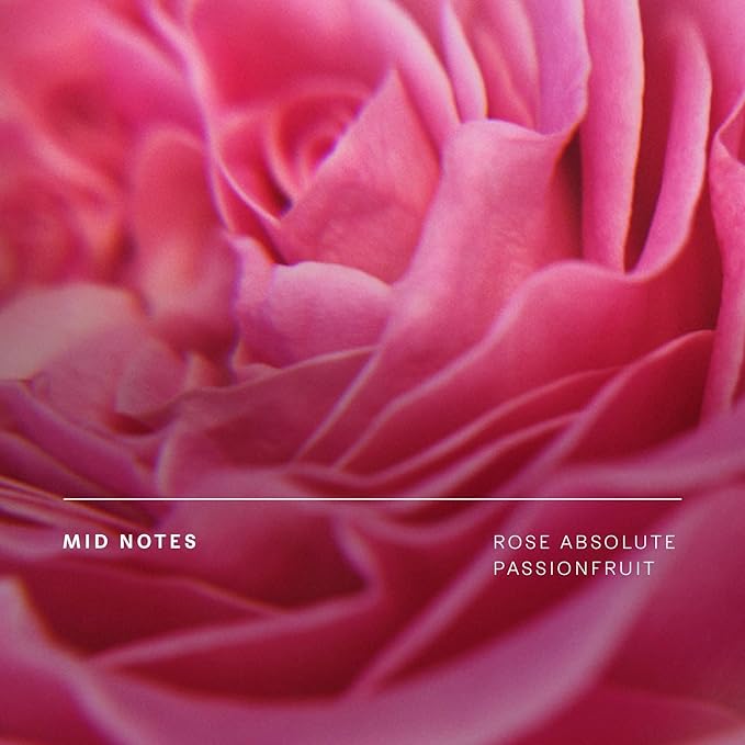 Future Society Haunted Rose Luxury Perfume & Fragrance Primer Gift Set - Includes Eau de Parfum & Optimal Habitat Fragrance Enhancing Primer and Extender - Beauty Gifts for Women