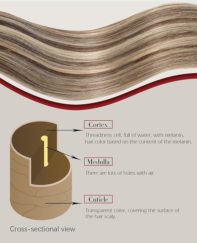 Clip in Extensions 14 Inch Chocolate Brown Highlighted Caramel Blonde Clip in Hair Extensions Real Human Hair 140g 7pcs Hair Clip ins Real Hair Extensions for Women(#4P27-14inch)