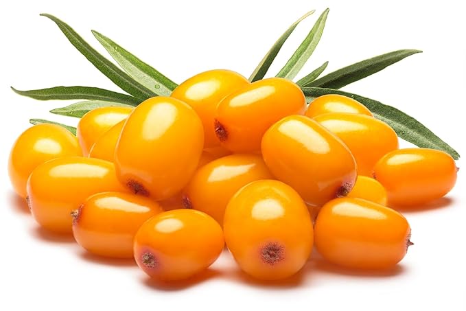 US Organic Sea Buckthorn Berry (Fruit) Oil Bulk pack, USDA Certified Organic,100% Pure & Natural, Supercritical CO2 extracted, Virgin, Unrefined (128 oz (1 Gallon))