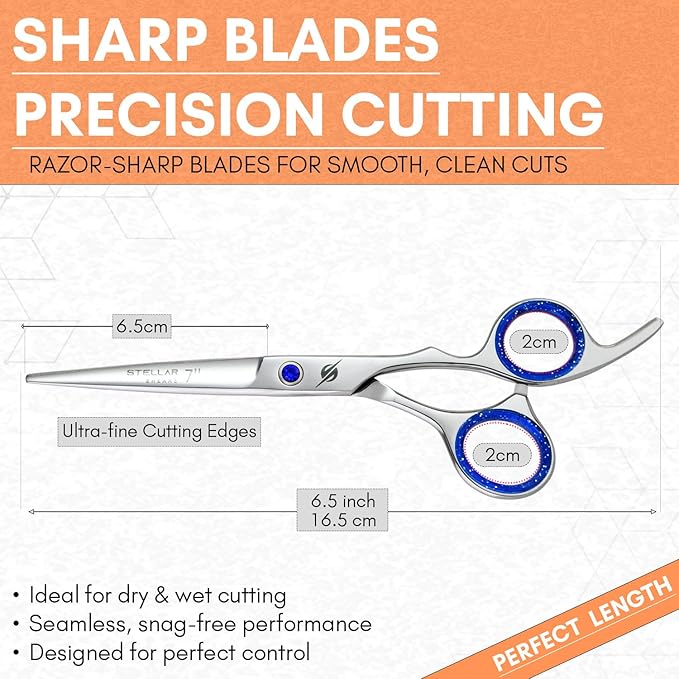 Pro Hair Cutting Scissors Set 6.5 Inch – Japanese Stainless Steel Barber Shears & Thinning Scissors Blue Gem Tension Screw – Salon Hairdressing Kit for Barbers & Stylists (Silver)