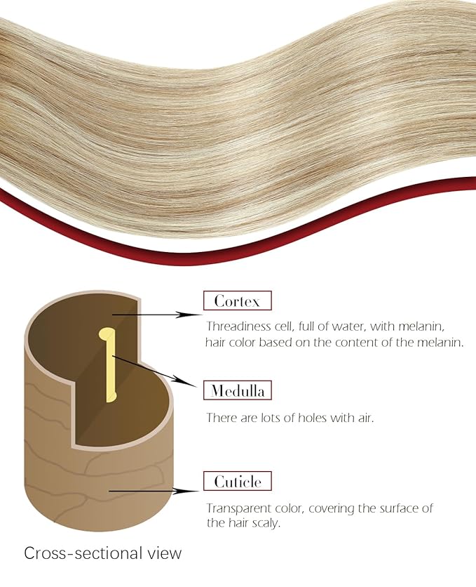 Clip in Hair Extensions Real Human Hair Double Weft Balayage Color Walnut Brown To Ash Brown and Golden Blonde,Clip in Hair Extensions,18 Inch 160g,7pcs Per Set With 19 Clips(#3/8/22,18")