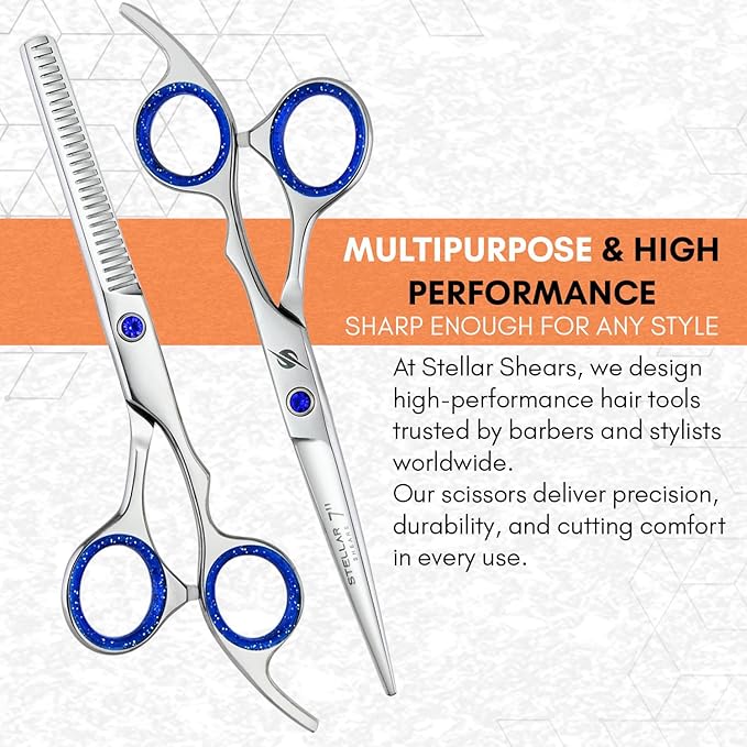 Pro Hair Cutting Scissors Set 6.5 Inch – Japanese Stainless Steel Barber Shears & Thinning Scissors Blue Gem Tension Screw – Salon Hairdressing Kit for Barbers & Stylists (Silver)