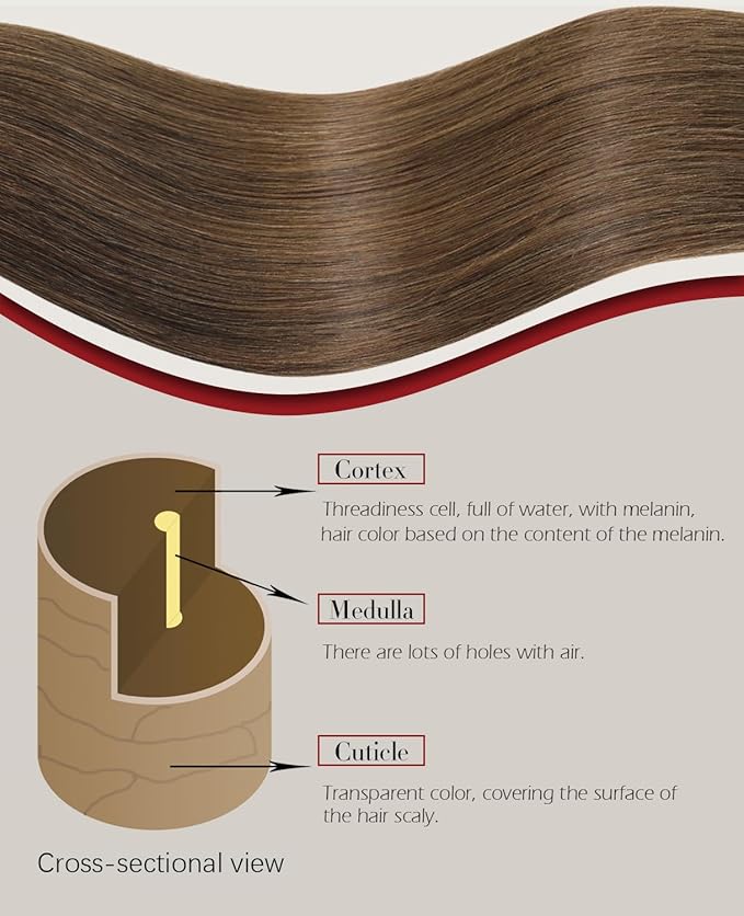 Clip In Hair Extensions Real Human Hair, 20inch 160g 7pcs Chocolate Brown Hair Extensions Clip ins, Real Human Hair for Women(#4-20inch)