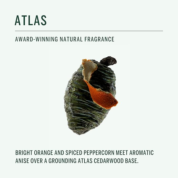 CORPUS - Natural Deodorant Stick For Sensitive Skin | Aluminium + Baking Soda Free | Unisex, Non-Toxic, Made In The USA (Atlas)