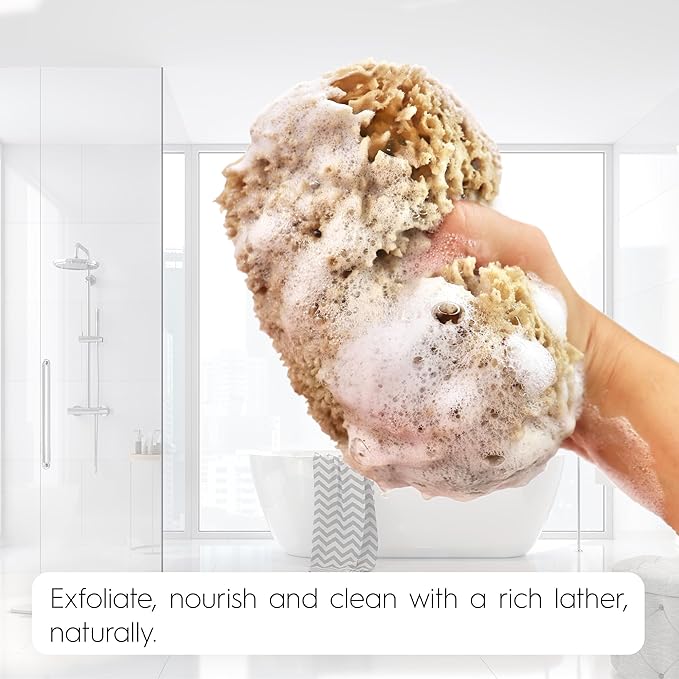Naroa Exfoliating Natural Sponge for Shower | Bath Sea Loofah for Healthy Skin | Unbleached Bathing Body Scrubber Puff | Plastic Free (Medium)
