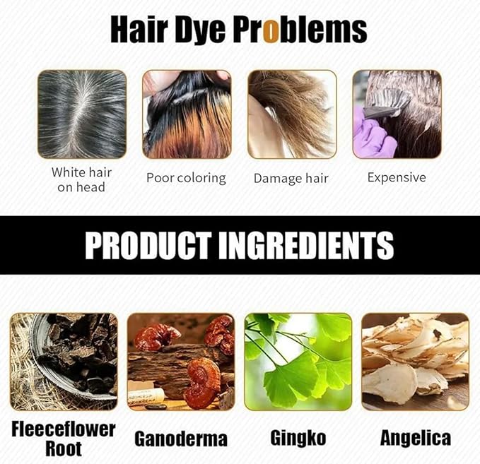 Hair Dye Color Shampoo (7 Colors Available to Choose) 500mL each (CHESTNUT BROWN, 500mL)