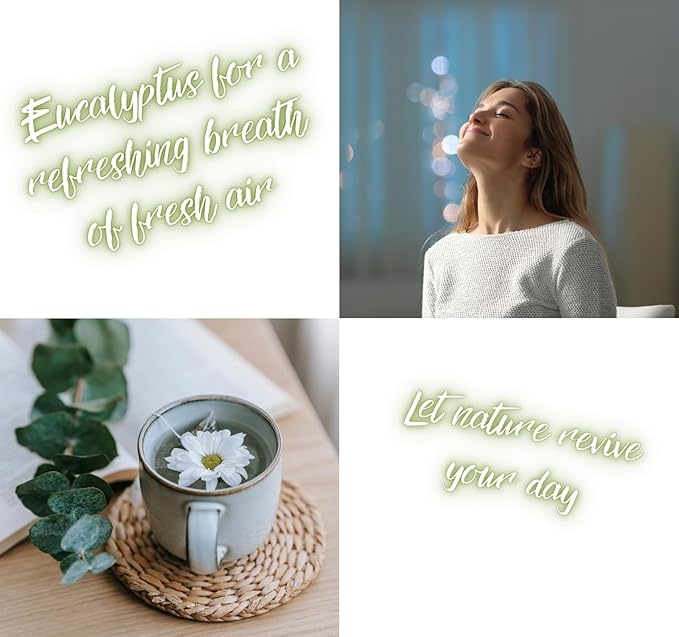 Bella Aria by Just Us Chix - Breathe Eucalyptus Shower Steamers, Aromatherapy Spa Experience, 7 Aromatic Tablets with Mesh Bag