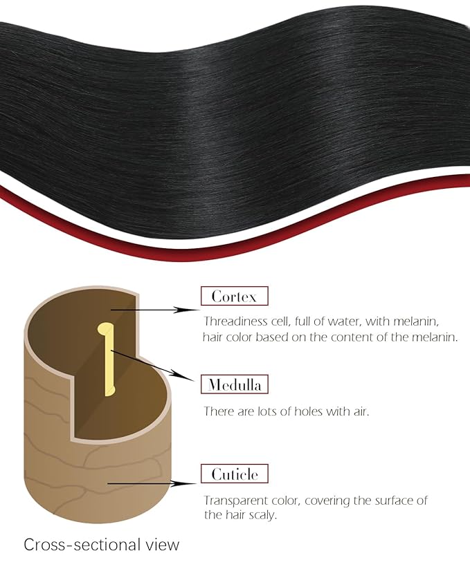 Clip In Hair Extensions Real Human Hair, Remy Human Hair Clip ins for Women, 22inch 160g 7Pcs Extensions Human Hair, Jet Black Real Hair Extensions(#1-22inch)