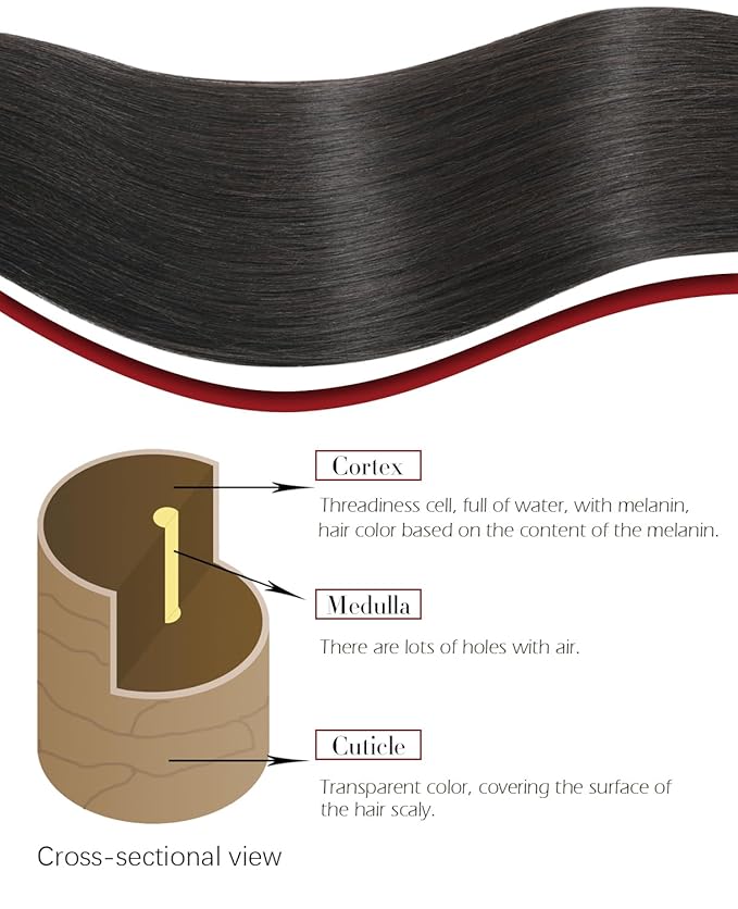 Clip In Hair Extensions Real Human Hair, 16 Inch 140g 7pcs Natural Black Hair Extensions Clip In Real Hair Human for Women(#1B-16inch)