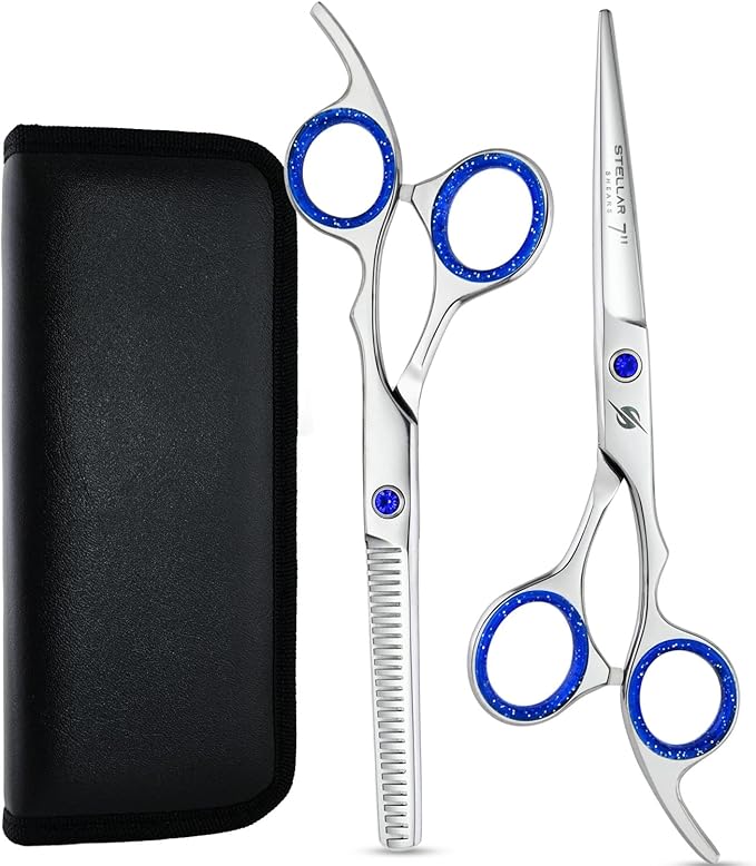 Pro Hair Cutting Scissors Set 6.5 Inch – Japanese Stainless Steel Barber Shears & Thinning Scissors Blue Gem Tension Screw – Salon Hairdressing Kit for Barbers & Stylists (Silver)