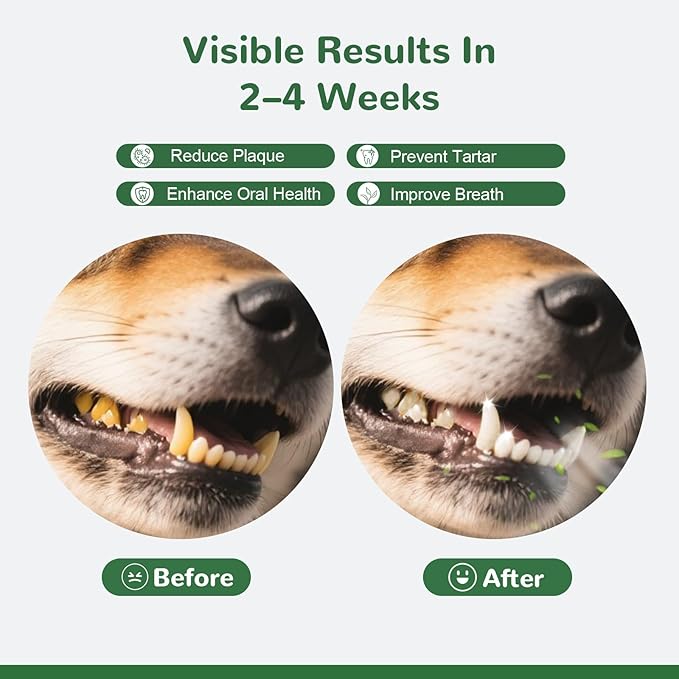 Dog Teeth Cleaning Powder, Dental Powder for Dogs Teeth Tartar Remove & Plaque Off, Fresh Breath for Dogs with Natural Plants Blend, Enzymes and Postbiotics, 300g