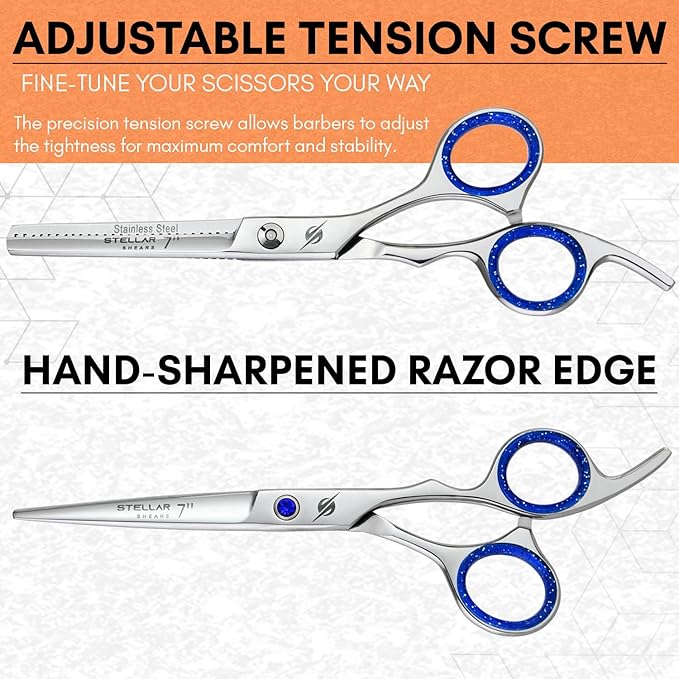 Pro Hair Cutting Scissors Set 6.5 Inch – Japanese Stainless Steel Barber Shears & Thinning Scissors Blue Gem Tension Screw – Salon Hairdressing Kit for Barbers & Stylists (Silver)