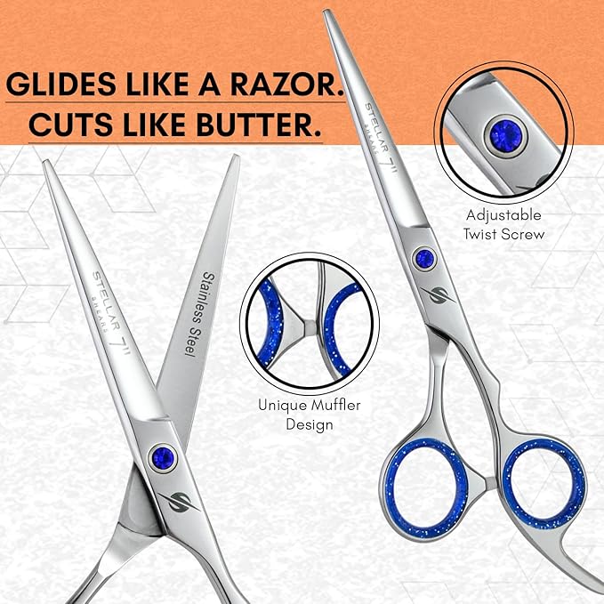 Pro Hair Cutting Scissors Set 6.5 Inch – Japanese Stainless Steel Barber Shears & Thinning Scissors Blue Gem Tension Screw – Salon Hairdressing Kit for Barbers & Stylists (Silver)