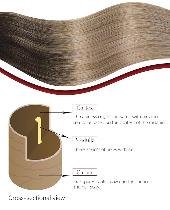 Clip in Hair Extensions Real Human Hair 7pcs 140g 14 Inch Balayage Dark Brown To Dirty Blonde Double Drawn Human Hair (#2/6/18, 14")