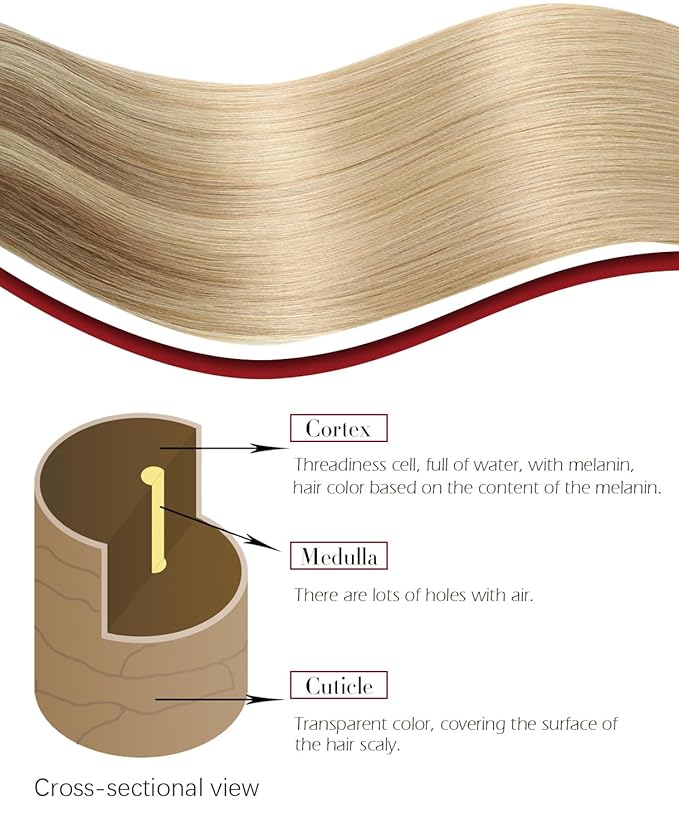 Clip in Hair Extensions Real Human Hair Remy Clip in Extensions 16 Inch 7pcs 140g Ash Brown to Caramel Blonde Hair Extensions (#10/27/27,16'')