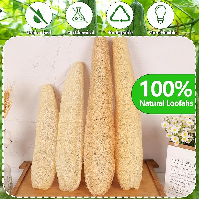 3 PCS Natural Loofah Sponges Organic Luffa Bath Shower Sponge Exfoliating Body Back Scrubber for Men Women Adults SPA Beauty Bathing or Kitchen Dishes