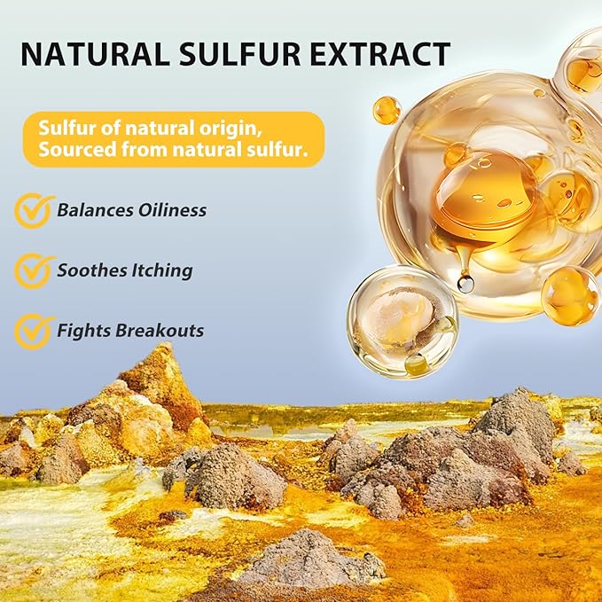 Bee & Flower Sulfur Soap Liquid Shampoo & Body Wash - Daily Head to Toe Skin Care Product for Men and Women - 16.8 Fl Oz - Pack of 2